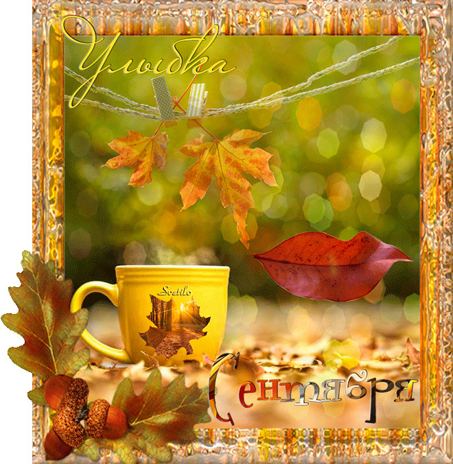 Картинки С Добрым Утром Красивые Движущиеся Осенние