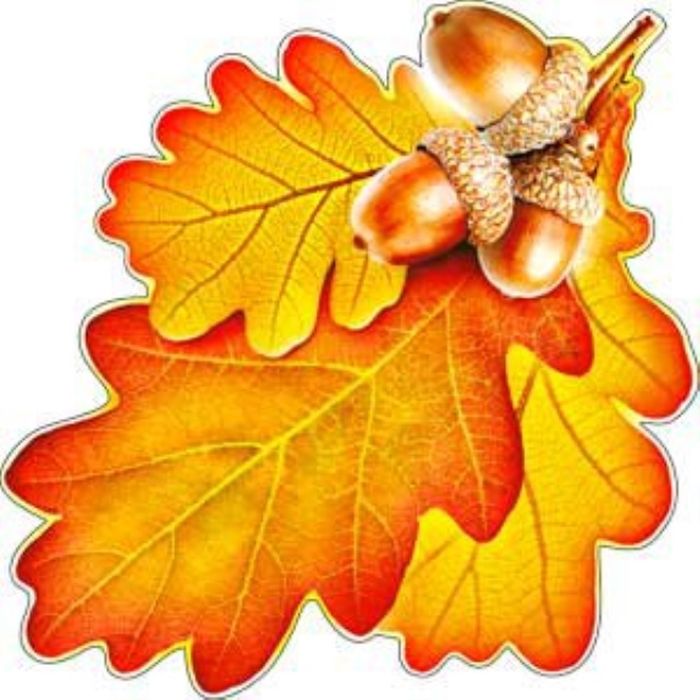 Картинки Листья Осенние С Глазками