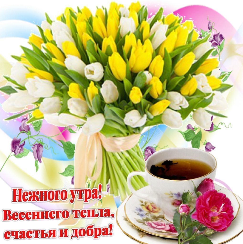Картинки весенние цветы с пожеланиями доброе утро. Доброе Весеннее утро и хорошего. С добрым весенним утром. Доброго веченного утро. Пожелания с добрым весенним утром.