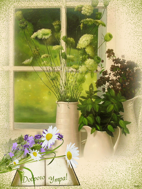 Цветы утром гифы. Цветы на окне. Пожелания с добрым летним утром. Летнее утро. Окно в цветах.