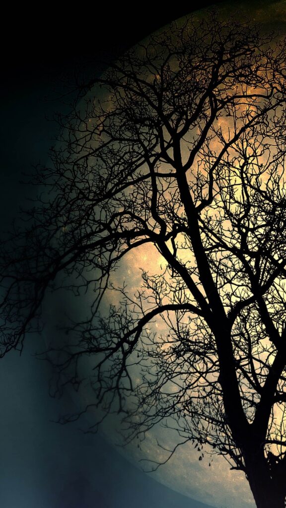 скачать обои луна, на телефон, картинка, небо, дерево