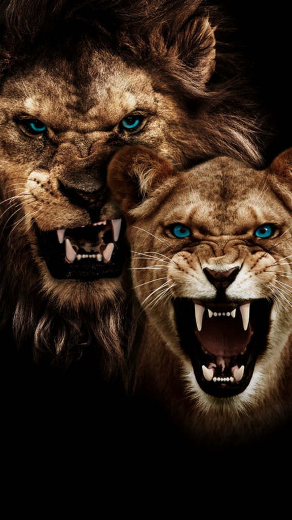 обои на телефон лев, скачать картинку лев и львица с оскалом
