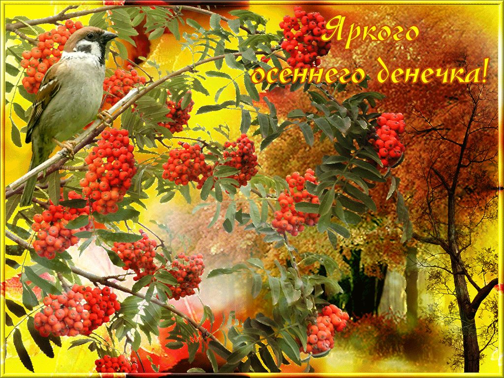 Красивая открытка с добрым осенним утром. Прекрасного осеннего дня. Доброго осеннего дня. Яркого осеннего дня. Хорошего осеннего дня и отличного настроения.