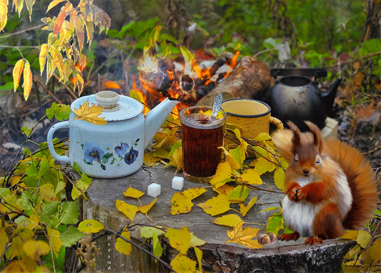 Красивое осеннее утро гиф. Осеннее чаепитие. Осенний чай. Доброе утро осень. Чаепитие на природе осень.