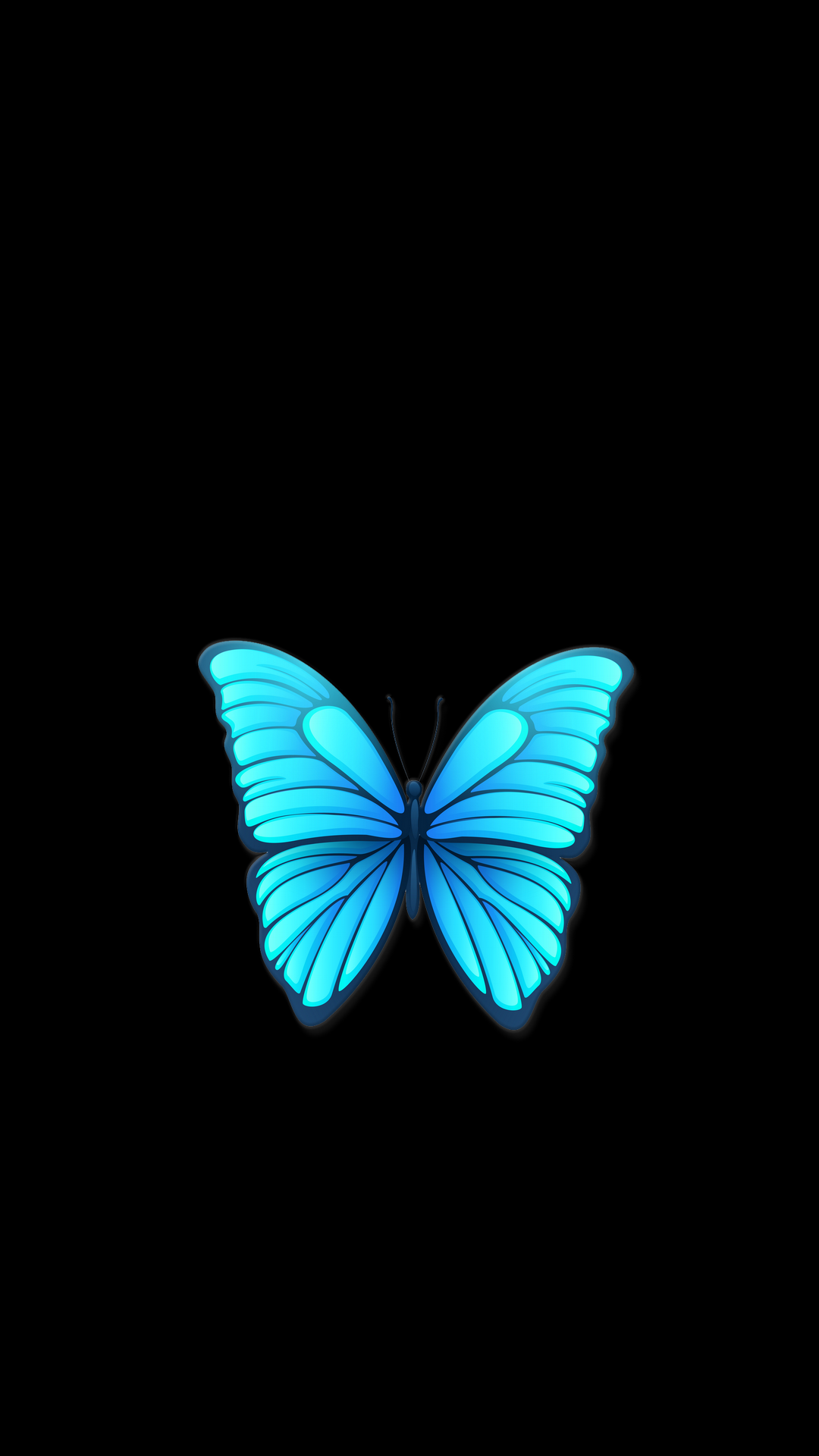 Бабочка на темном фоне