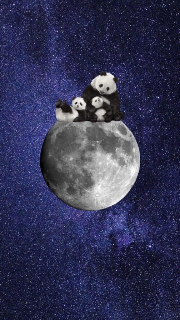 парные и двойные обои, заставка на телефон, панда, луна