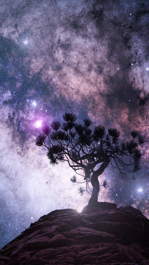 обои природа, заставка на телефон, картинка HD, небо, звезды, дерево
