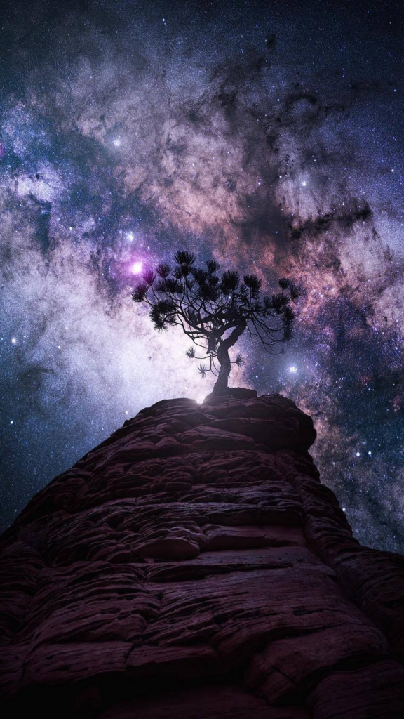 обои природа, заставка на телефон, картинка HD, небо, звезды, дерево