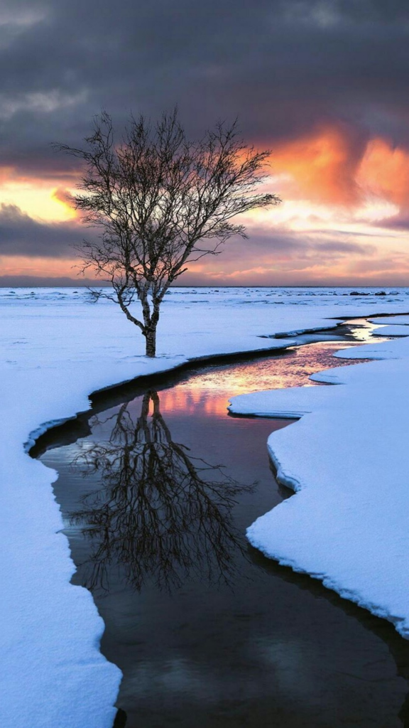 обои природа, заставка на телефон, картинка HD, ручей, снег, дерево