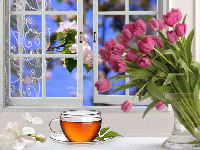 Цветы утром гифы. Окно с цветами. Весеннее окно.
