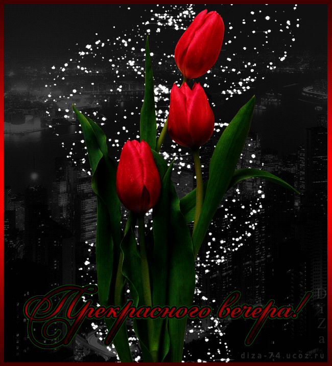 Красивые открытки март вечер. Живые тюльпаны. Мерцающие тюльпаны. Добрый вечер с тюльпанами. Тюльпаны анимация.