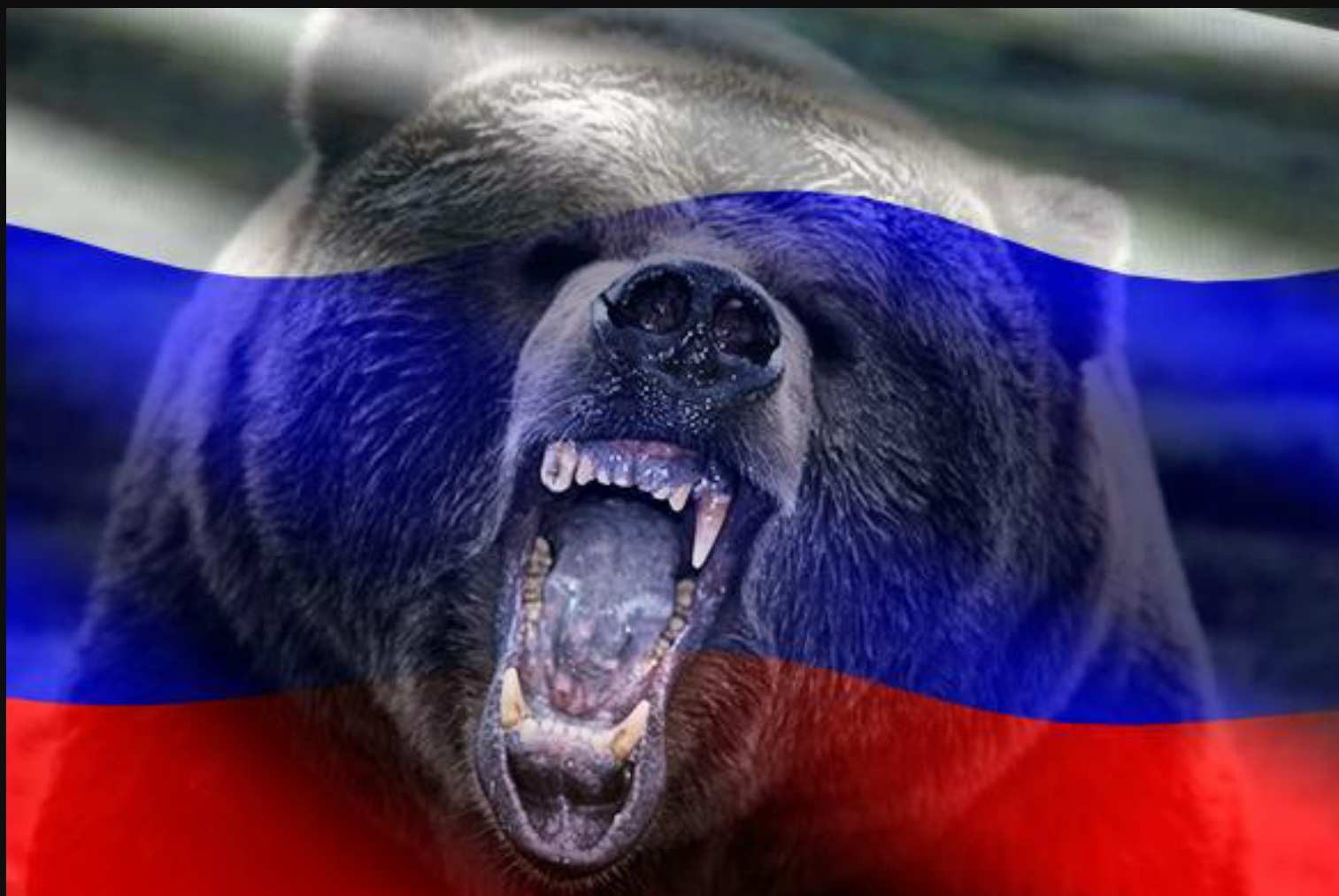 Обои на рабочий стол россия медведь и флаг