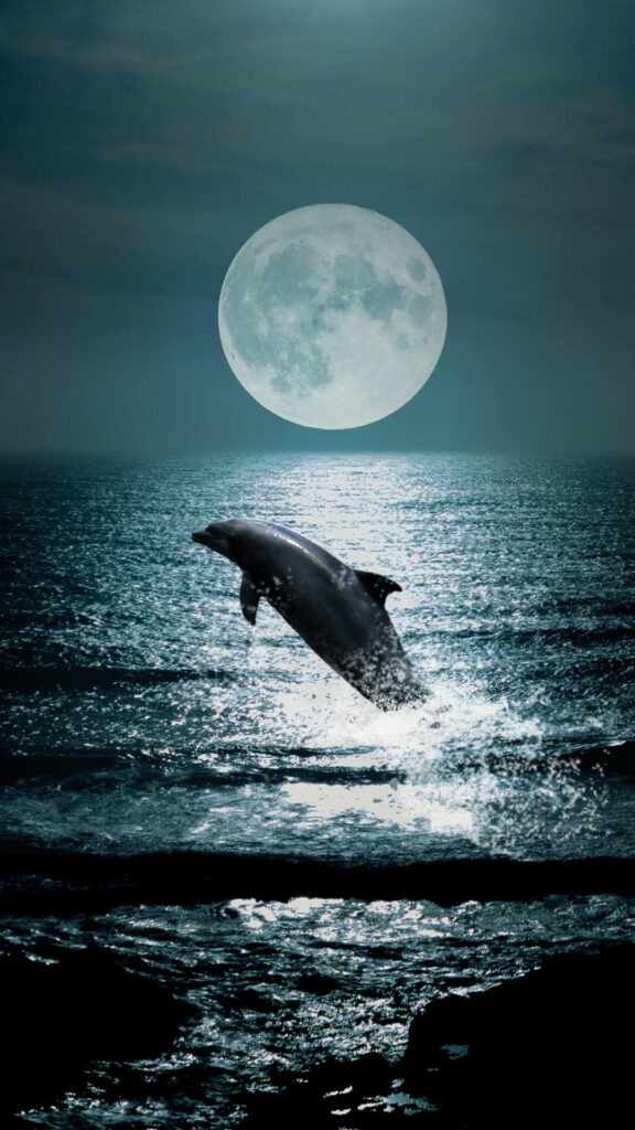 обои на телефон луна, скачать картинку дельфин на фоне луны