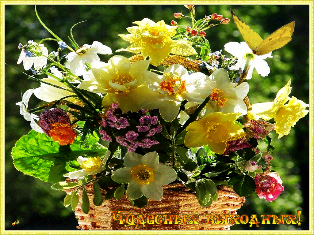 Хорошего настроения и удачного дня цветы. Солнечные цветы букет. Прекрасных весенних выходных. Цветы чудесного настроения. Чудесный день открытки красивые