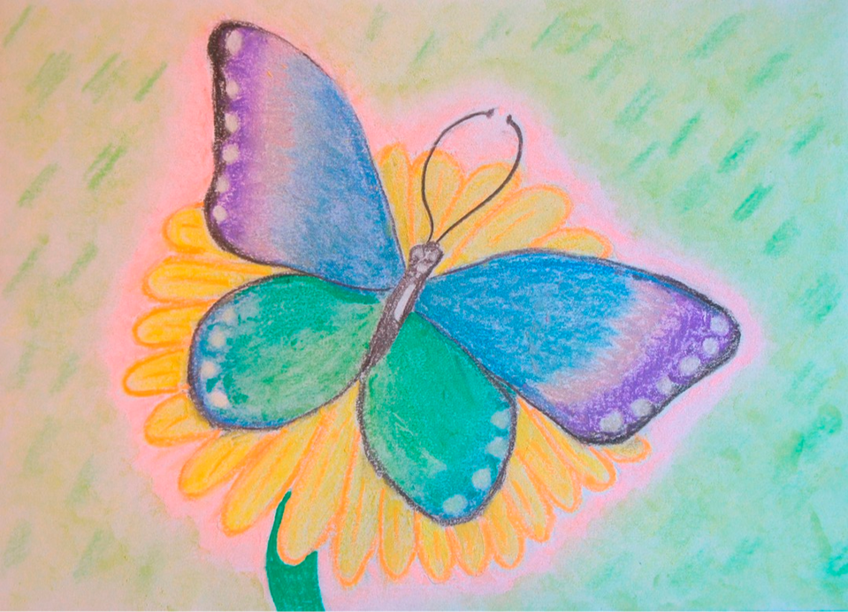 Легкие рисунки красивые 7 лет. Бабочка рисунок. Бабочка рисунок карандашом. Бабочка для рисования детям. Рисование на свободную тему.