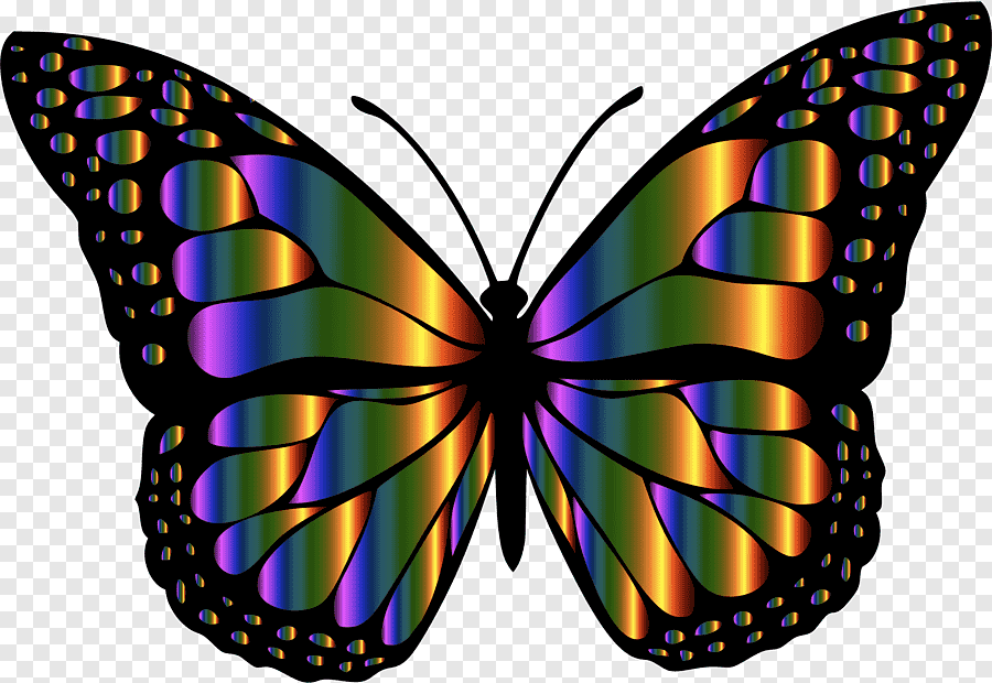 Картинка 2 бабочки для детей