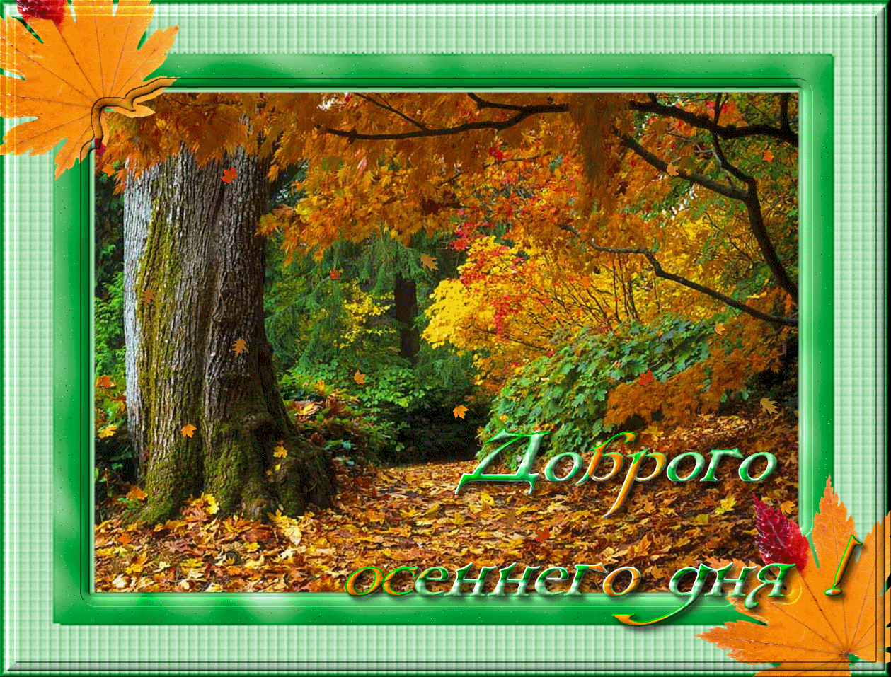 Картинка доброго дня осеннего хорошего. Доброго осеннего дня. Осенний день. С добрым осенимим днем. Доброго осеннего дня и хорошего настроения.