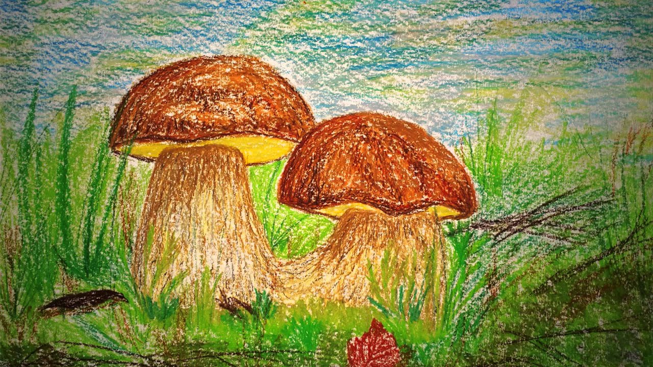 Рисование грибов в старшей
