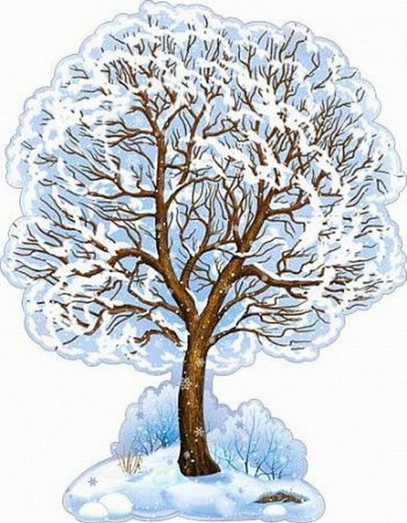 Деревья зимой для дошкольников