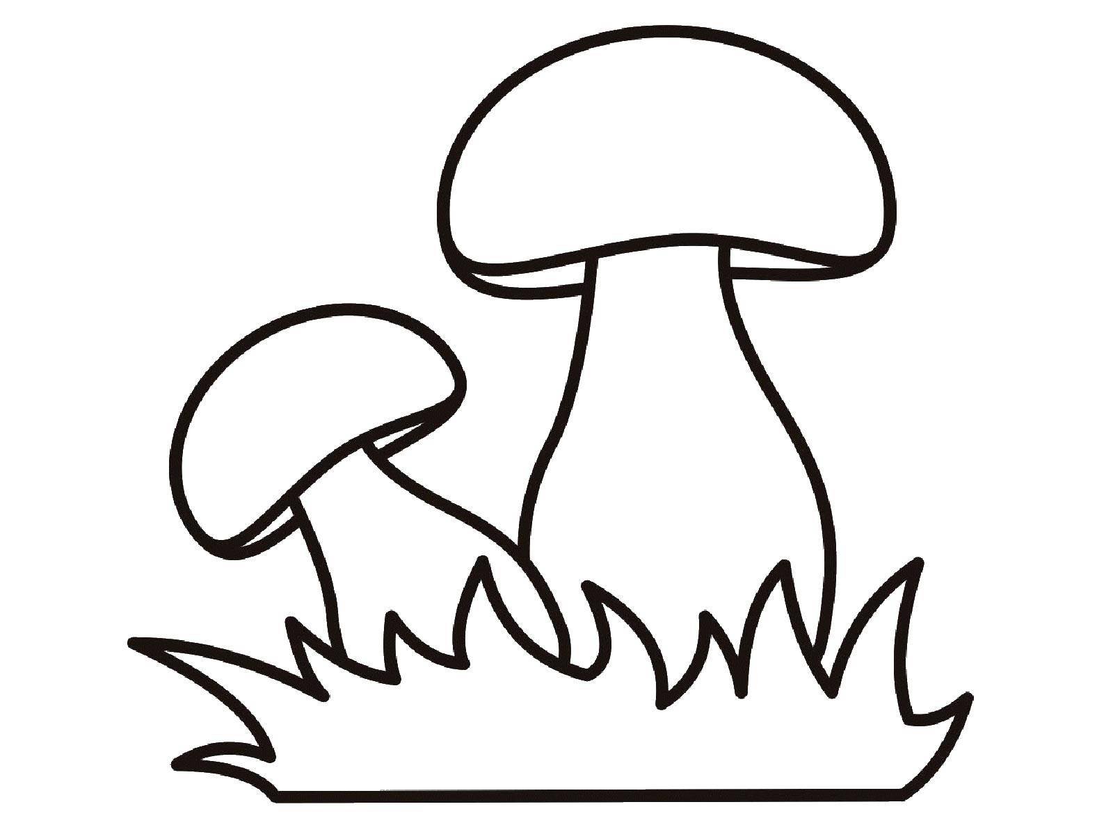 Рисунки грибов для раскрашивания