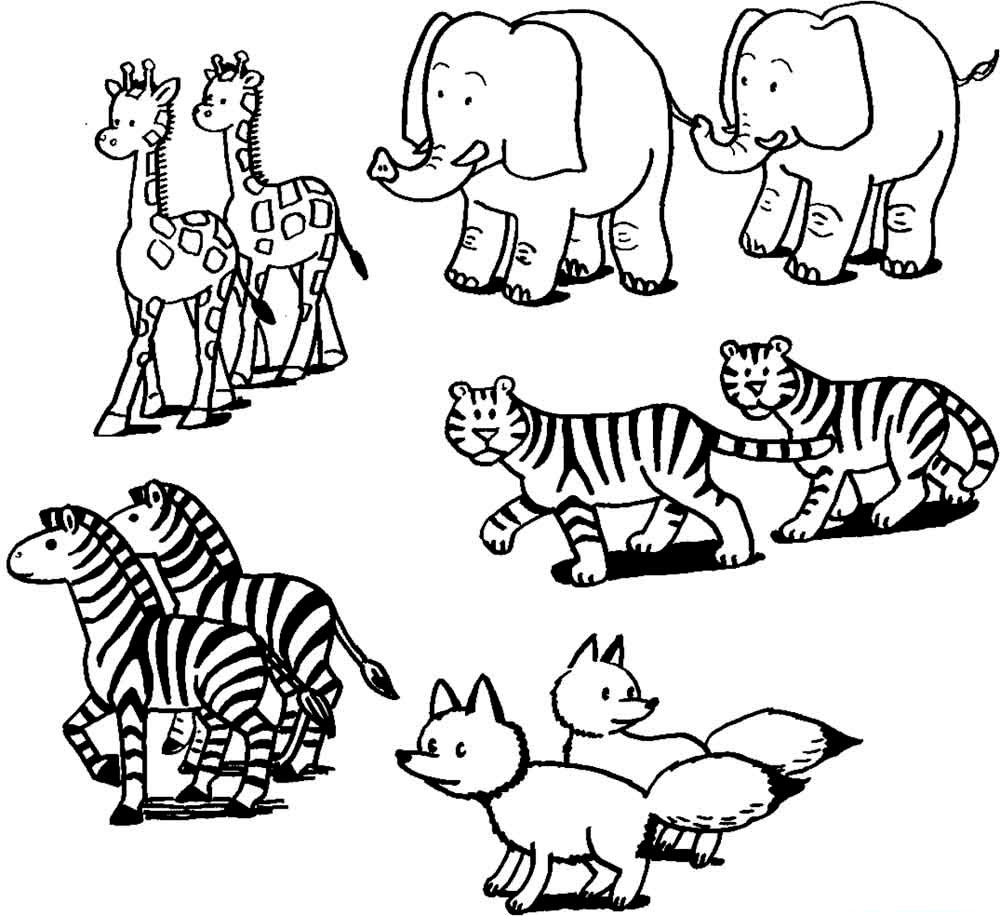 Раскраски диких животных для детей