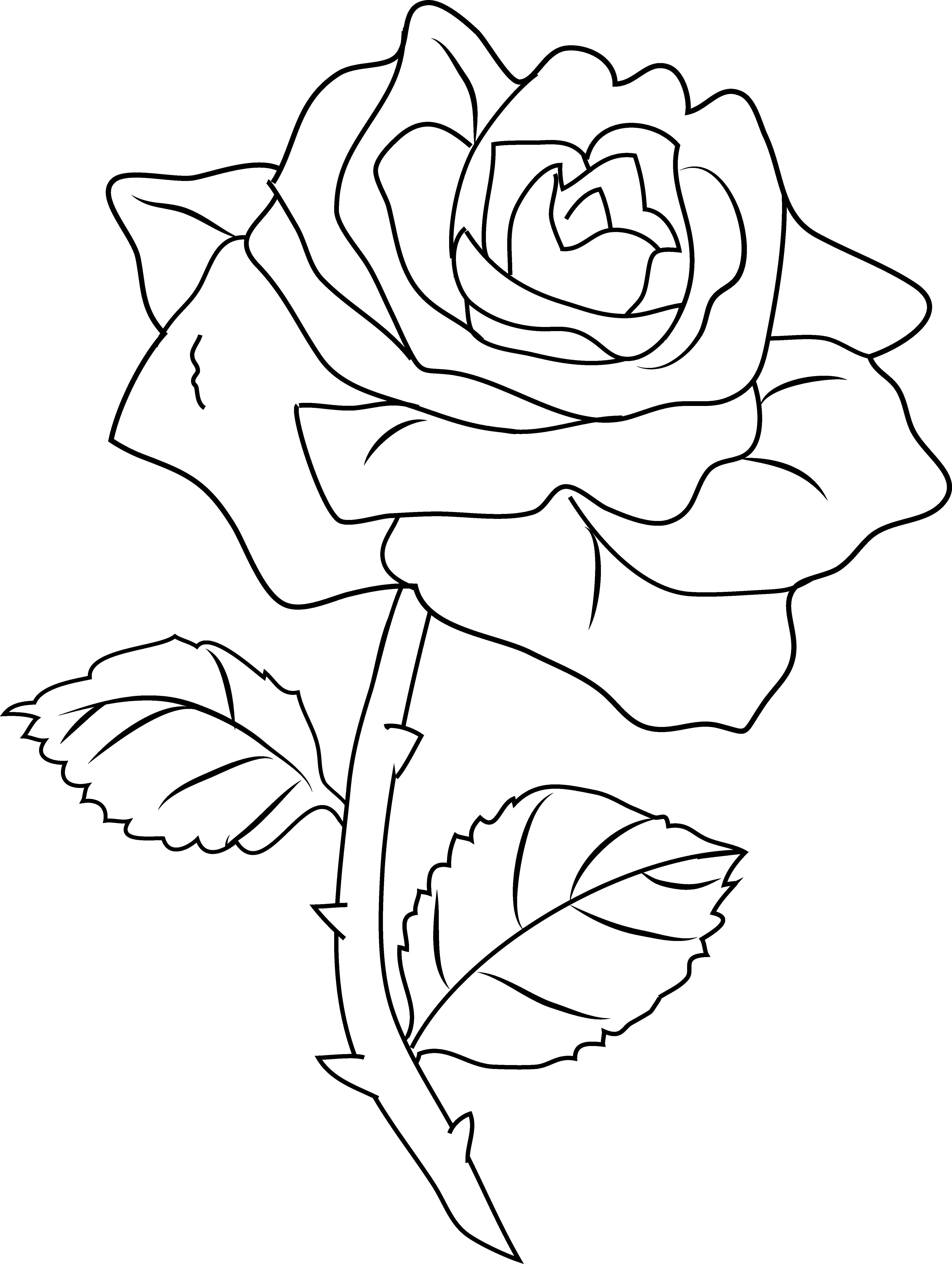 Рисунок для срисовки контур. Роза раскраска. Роза раскраска для детей. Раскраска роза цветок. Роза для рисования.