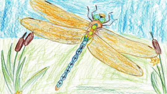 Цветные рисунки карандашами для детей (68 картинок)