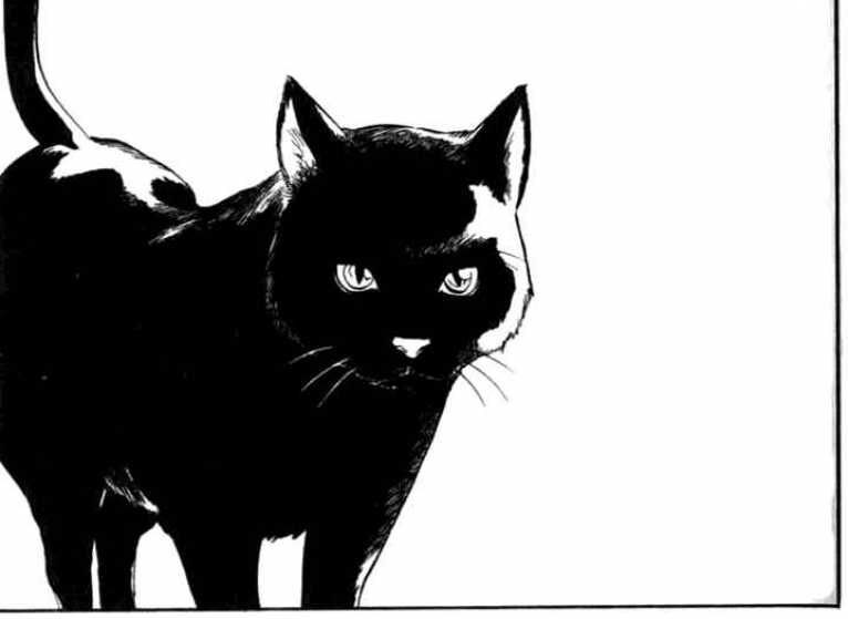 Черный кот распечатать. Черная кошка. Черная кошка рисунок. Черная кошка арт.