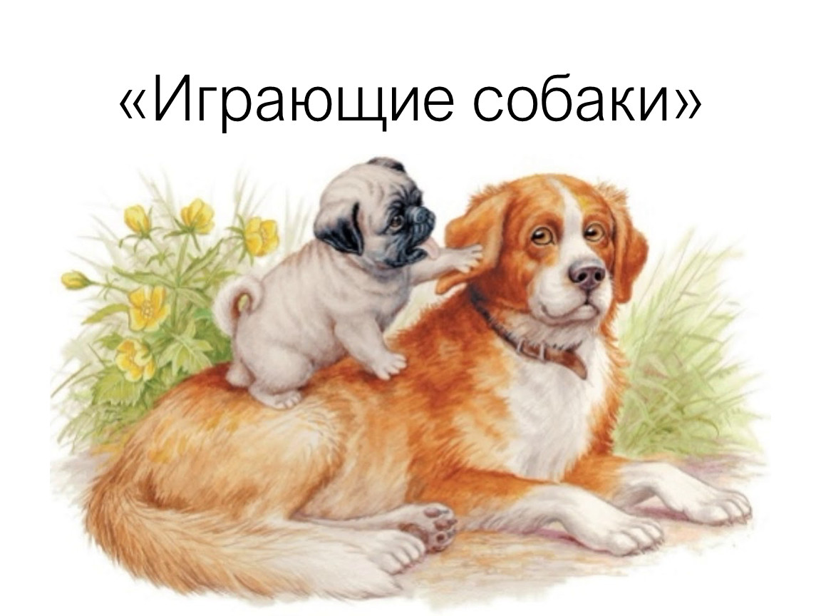 Братья наши меньшие произведения. Играющие собаки Ушинский. Мопс и Полкан Ушинский. Ушинский играющие собаки рисунок.