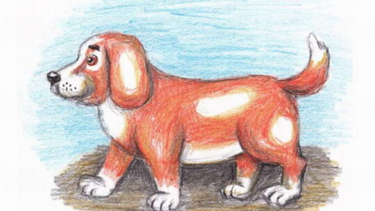 Картинки для детей Собака (83 рисунков)