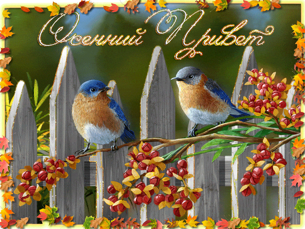 Картинка привет осеннее утро. Чудесного дня с птичками. Доброе осеннее утро с птицами. Доброе утро с птицами осенью. Доброго дня с птичками осень.