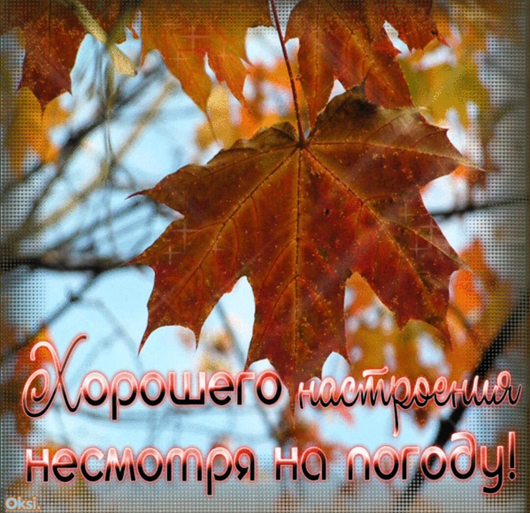 Доброго дня ноября. Доброго осеннего дня. Открытки хорошего дня осенние. Хорошего осеннего настроения. Осеннего настроения и хорошего дня.