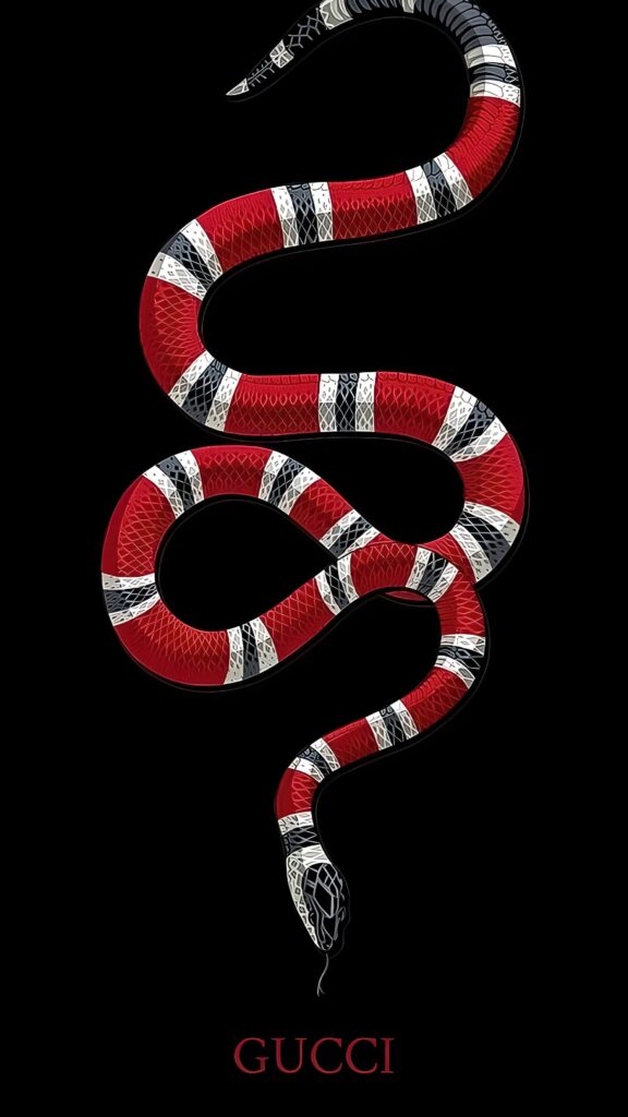 обои змея, 4k картинки со змеями, змея gucci