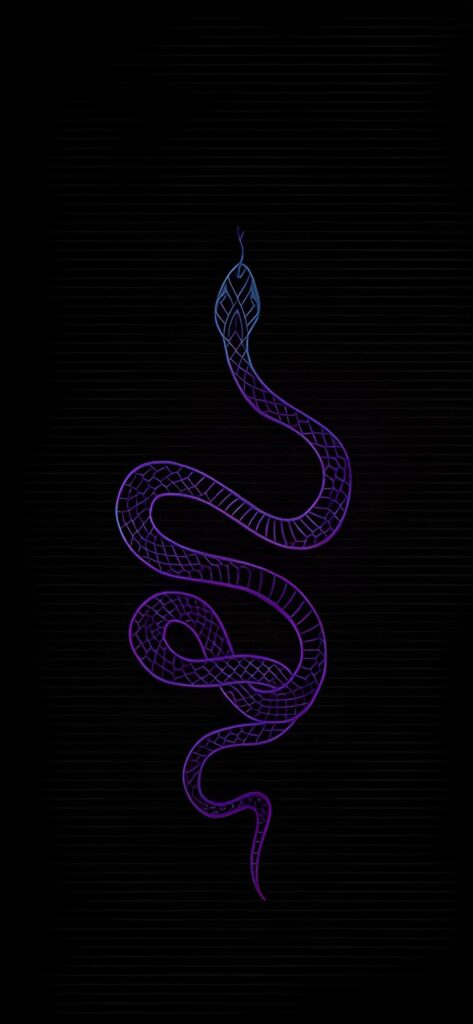обои змея, 4k картинки со змеями, змея на черном фоне