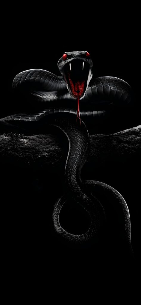 обои змея, 4k картинки со змеями, змея, черный фон, нападение