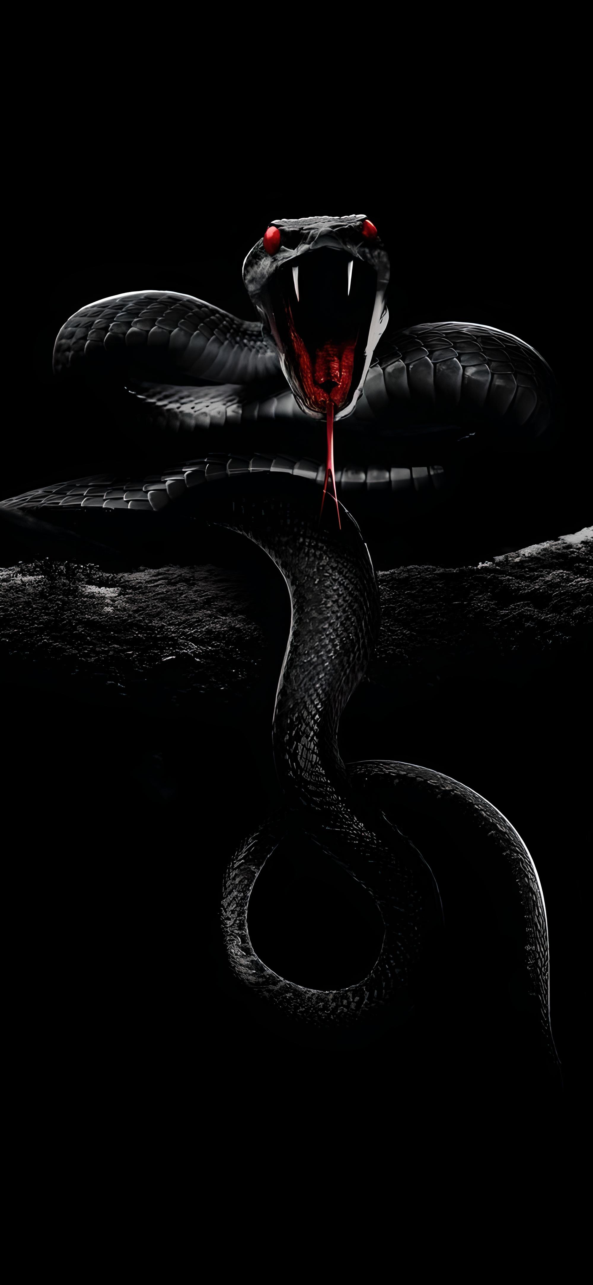 Змей на заставку телефона. Черный Аспид змея. Змей змея чёрная мамба. Chorni Mamba. Череп ая мамба.