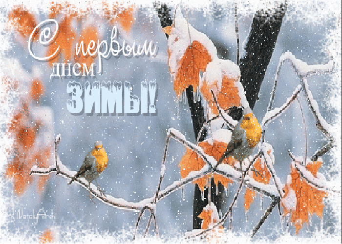 Приветствуем зиму. Первый день зимы. Открытки с зимой. Первый день зимы рисунок. С 1м днем зимы открытка.