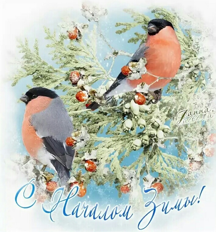 Бесплатные открытки зимой. Доброе утро Снегири. С началом зимы открытки красивые. Поздравление с зимой. Открытки с наступающей зимой.