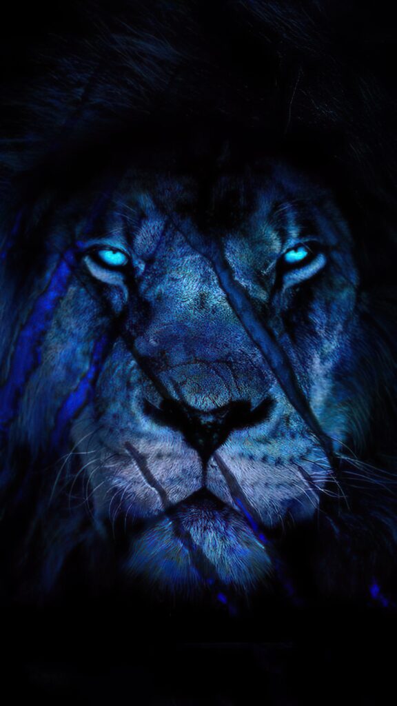 большой лев, голова, синий фон